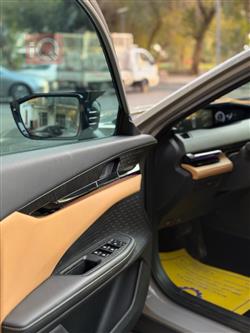 شانجان يوني في